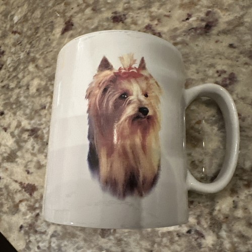 Bowwow meows yorkshire - bowwow,