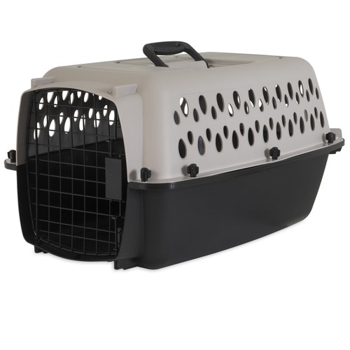 Vibrant life pet - life, portable