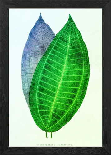 Vintage foliage elegant - elegant, framed