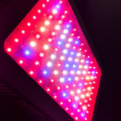 Grow light led - grow,