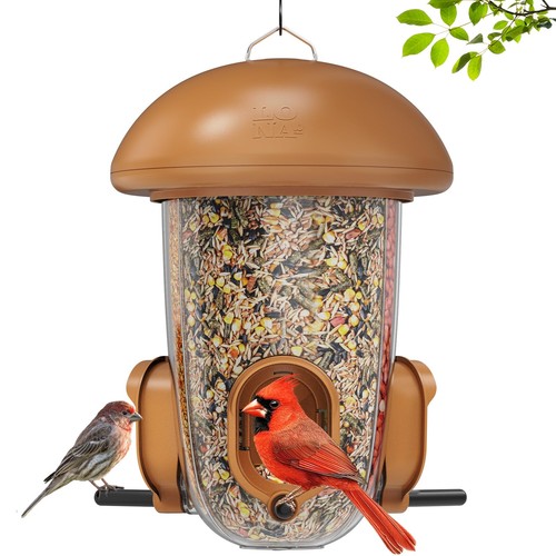 Lona bird feeder outdoor - feeder,