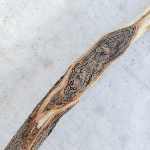 Diamond willow carving - 58",