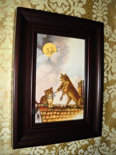 Cat plays violin roof - violin, 6