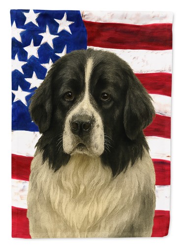 Newfoundland landseer american - landseer,