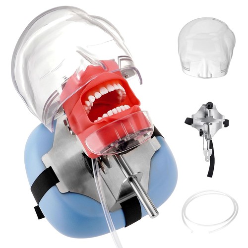 Dental manikin simulator - manikin,