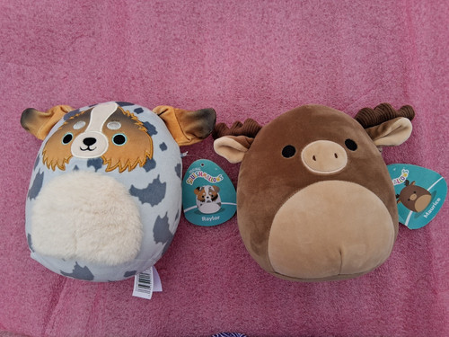 Squishmallows raylor the - 2,
