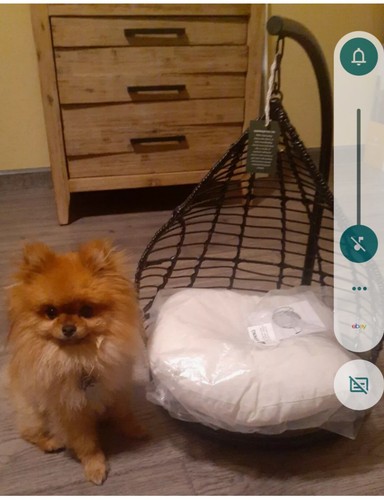 Black luxury pet bed - luxury, swing