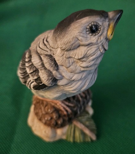 Boehm fledgling baby - boehm, chickadee