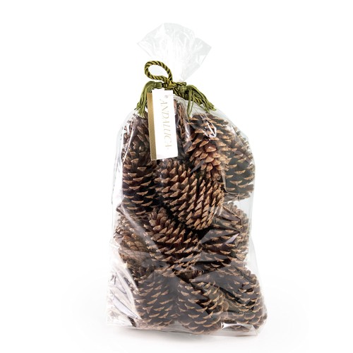 Pinecone vase bowl fillers - pinecone,