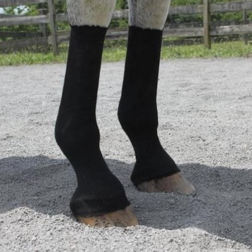 Equifit horsesox individual - equifit,