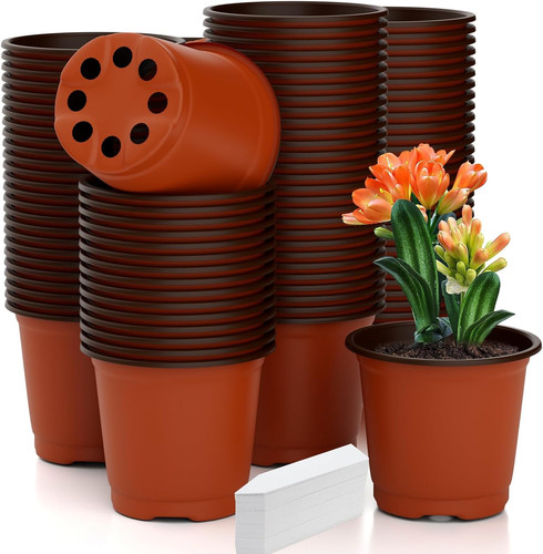 Nursery pots 100 pcs inch - pots, 4