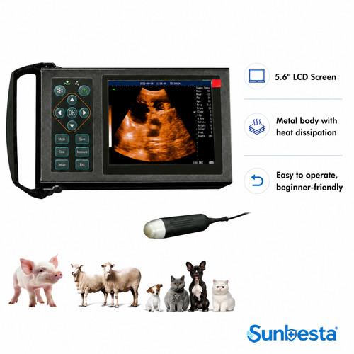 M10 portable vet - m10, ultrasound