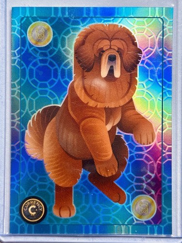 Tibetan mastiff 2025 - ,
