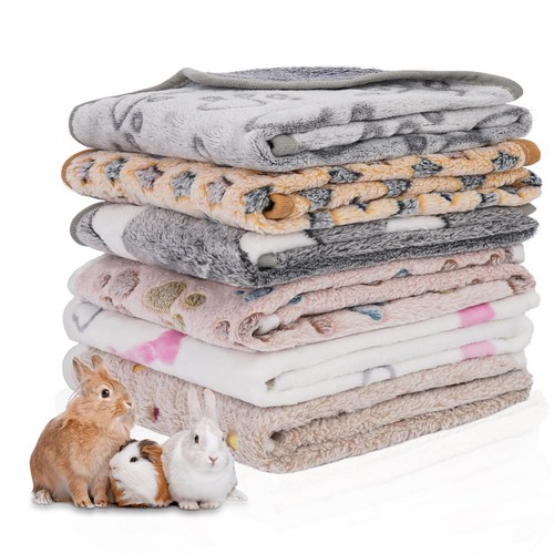 Hobbtree pack guinea pig - hobbtree,