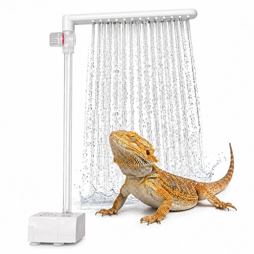 Accessories for bearded dragon - for,