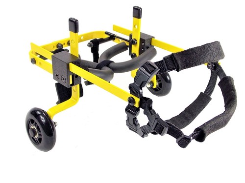 Pets and wheels dog - dog, wheelchair