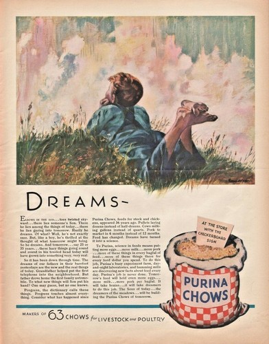 1931 purina chows for - 1931,