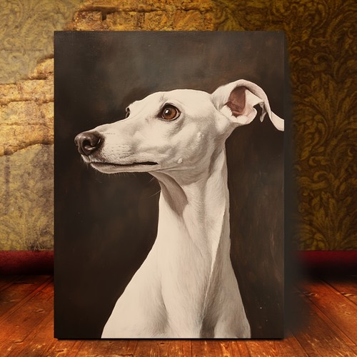 Vintage white whippet - whippet, dog