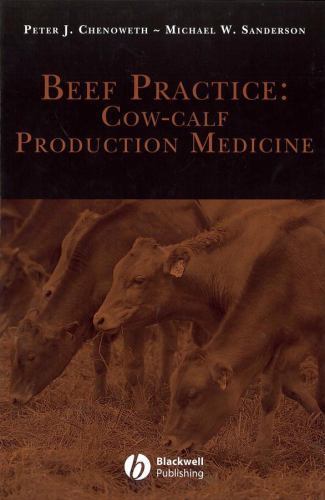 Beef practice cow - beef, cow-calf