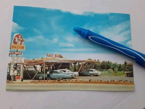 Dog suds drive in - dog, n
