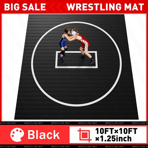 Wrestling mat for - 10',
