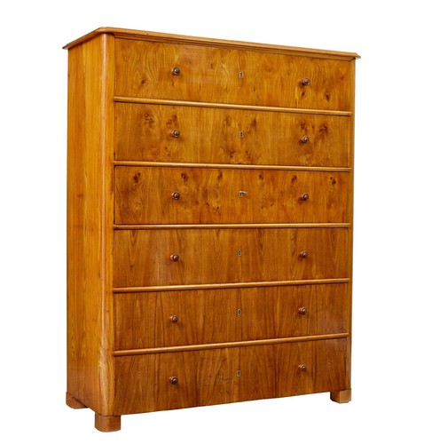 Tall 19th century elm - 19th,