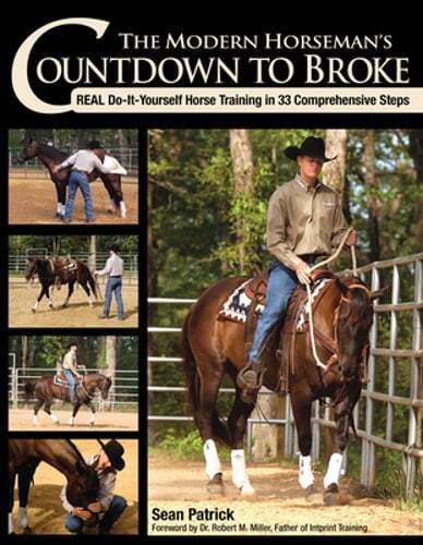 The modern horseman - the, horseman's