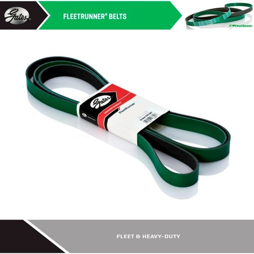 Gates heavy duty serpentine - heavy,