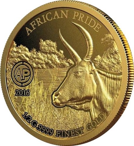 2016 niger zebu - zebu, gold