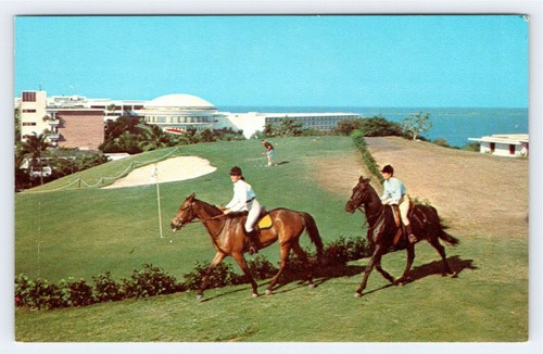 Horse riding golf - &,