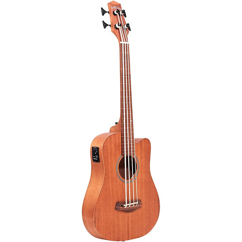 Gold tone scale fretless - gold,