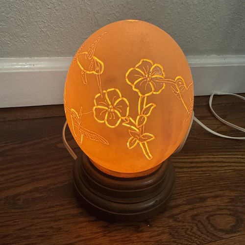 Ostrich egg shell lighting - egg,