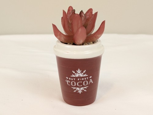 Christmas faux succulent plant - faux,