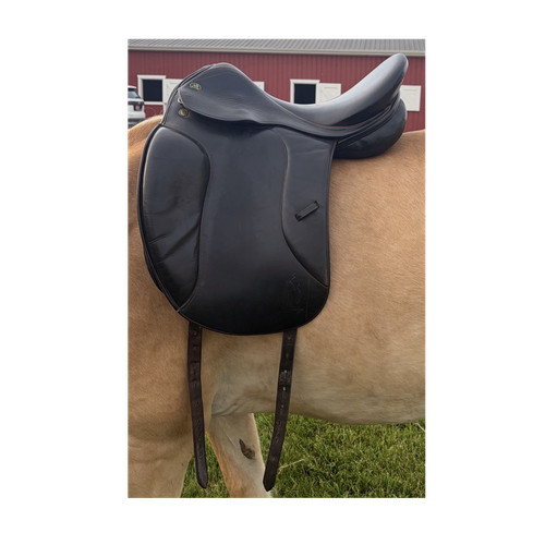 Prestige black dressage - 17, in