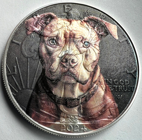 Pit bull staffordshire - pit,