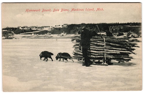 Dog sled pulling wood pile - sled,