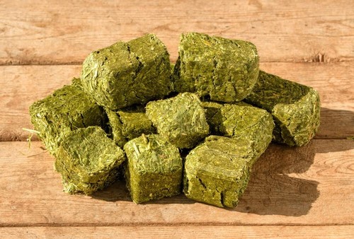 Grain alfalfa cubes for - cubes,
