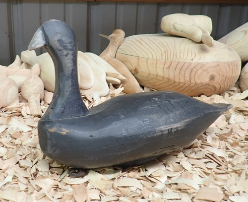 2018 coot decoy elkton - decoy,