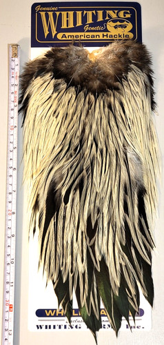 Whiting american rooster - whiting,