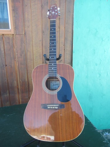 Vintage montana acoustic - vintage,