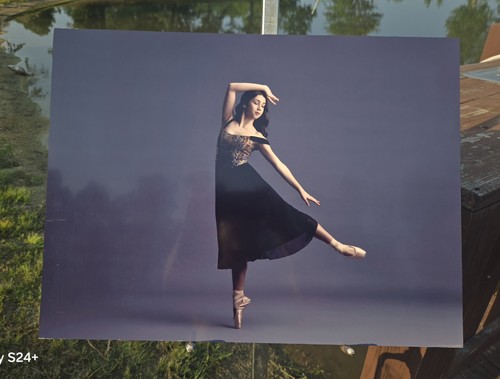 Ballet dancer fine art - dancer,