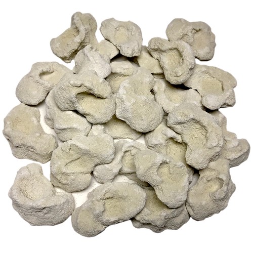 Cured reef rock frag - frag, plugs