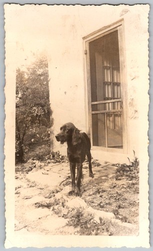 Vtg snapshot black irish - vtg, b&w