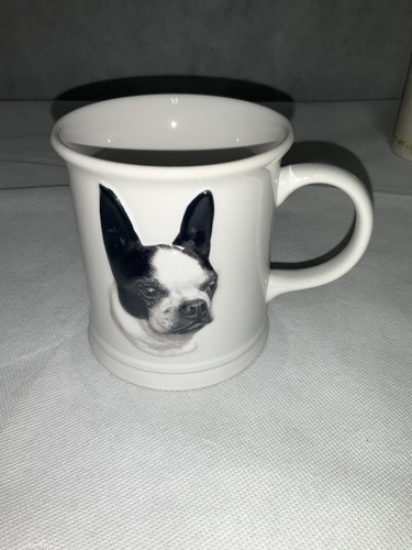 Boston terrier dog puppy - terrier,