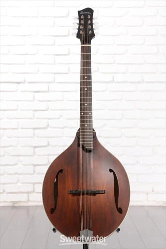 Eastman guitars mdo305 style - guitars, a-style