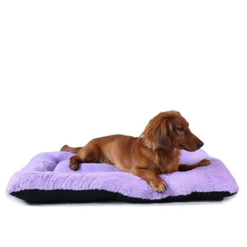 Crate pad for medium dogs - for,