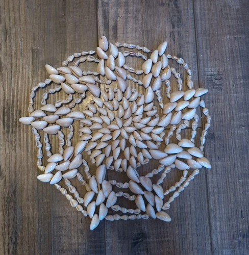 Cowrie shell round star