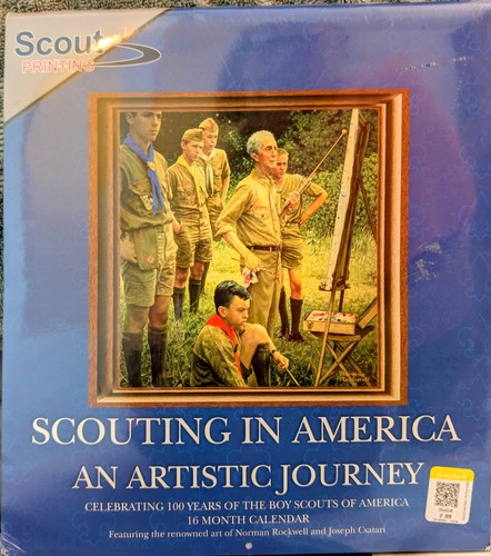 2010 boy scouts - 2010,