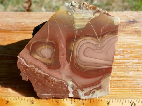 Tcr willow creek orbicular - creek,