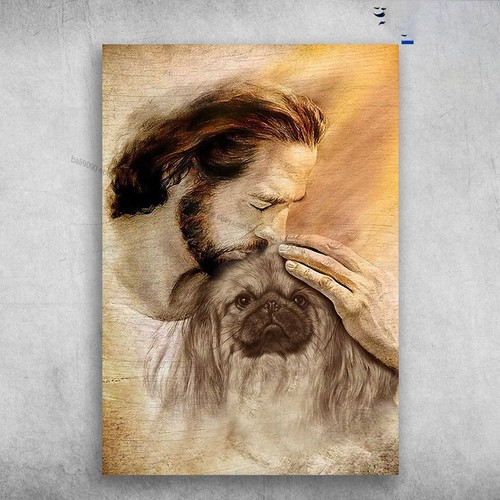 Pekingese god dog - pekingese,